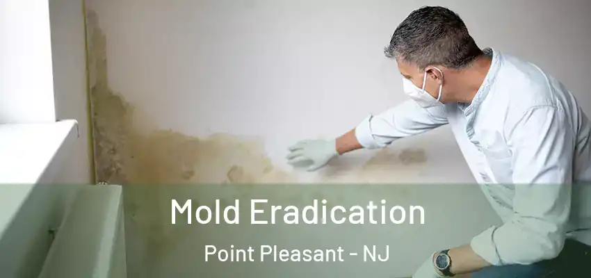 Mold Eradication Point Pleasant - NJ