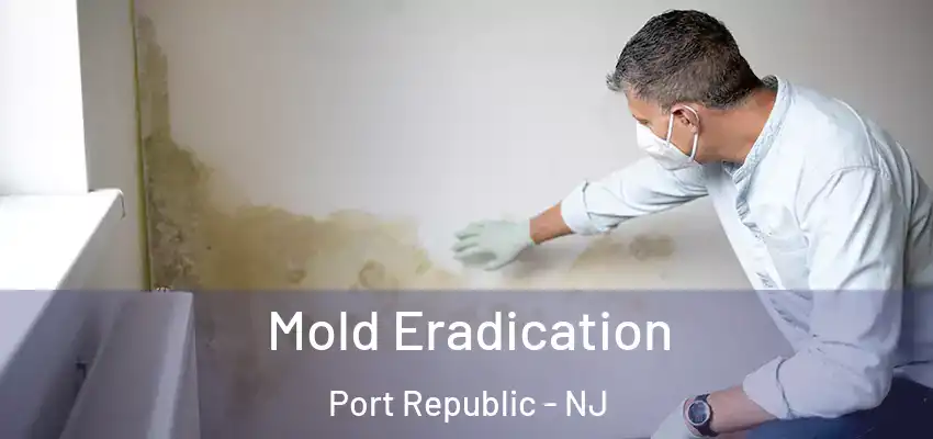 Mold Eradication Port Republic - NJ