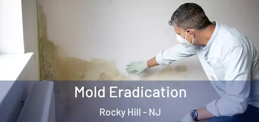  Mold Eradication Rocky Hill - NJ