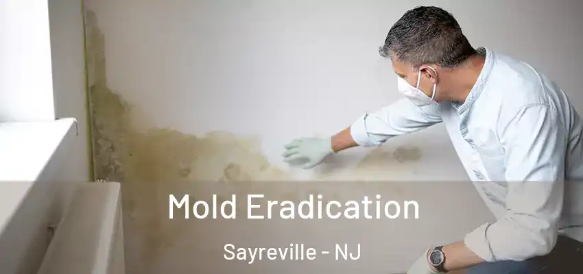  Mold Eradication Sayreville - NJ