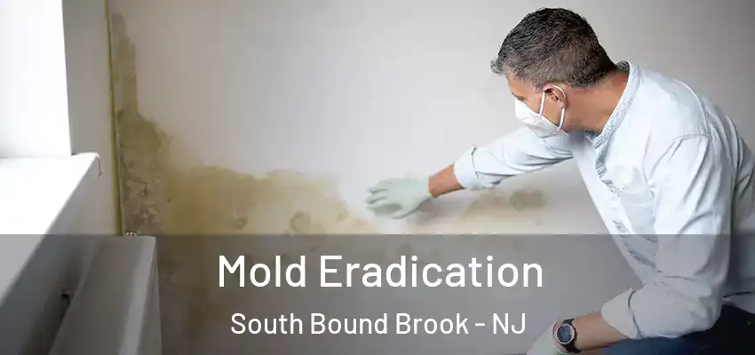 Mold Eradication South Bound Brook - NJ