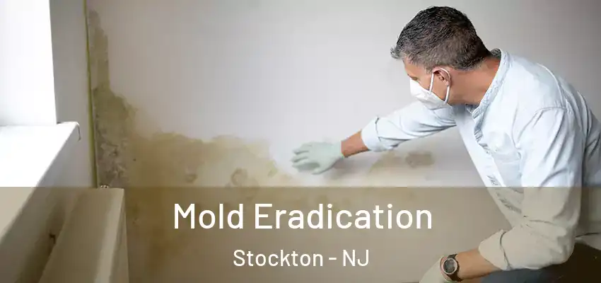  Mold Eradication Stockton - NJ