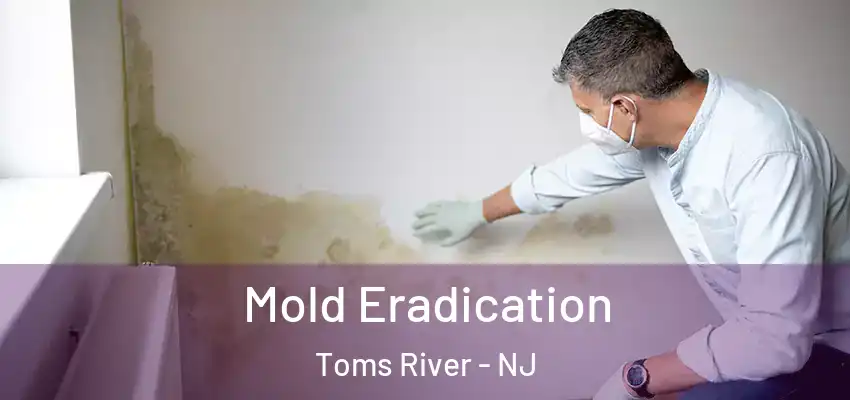 Mold Eradication Toms River - NJ