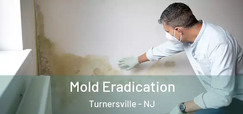Mold Eradication Turnersville - NJ
