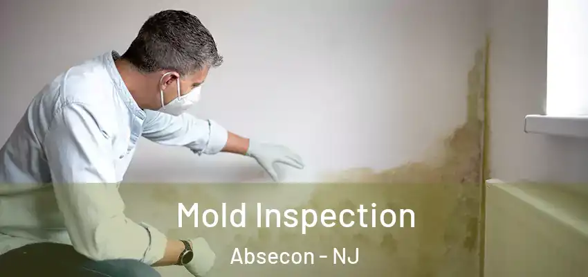  Mold Inspection Absecon - NJ