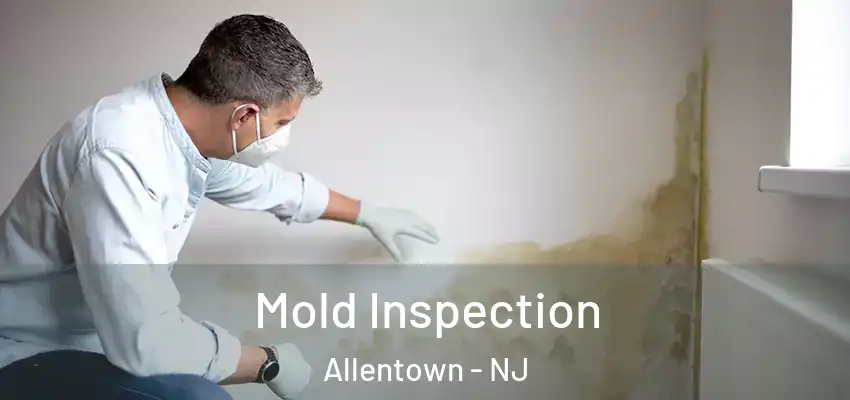 Mold Inspection Allentown - NJ