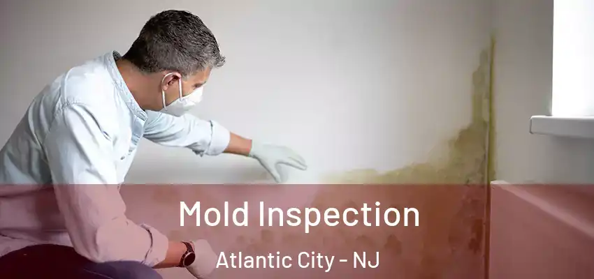 Mold Inspection Atlantic City - NJ