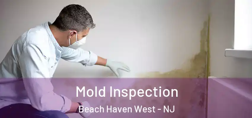 Mold Inspection Beach Haven West - NJ