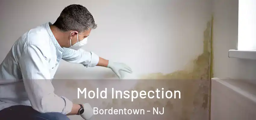  Mold Inspection Bordentown - NJ