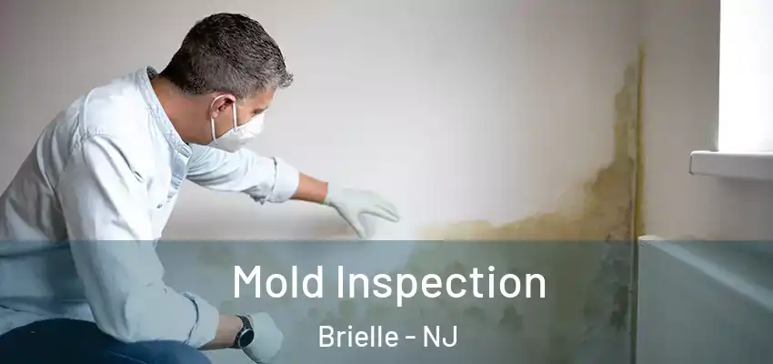  Mold Inspection Brielle - NJ