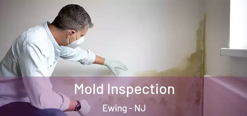 Mold Inspection Ewing - NJ