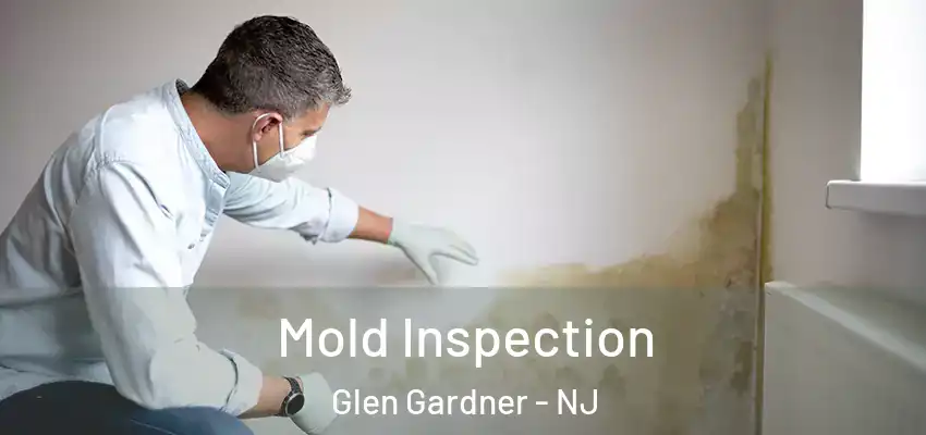 Mold Inspection Glen Gardner - NJ