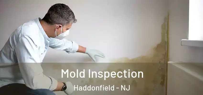  Mold Inspection Haddonfield - NJ