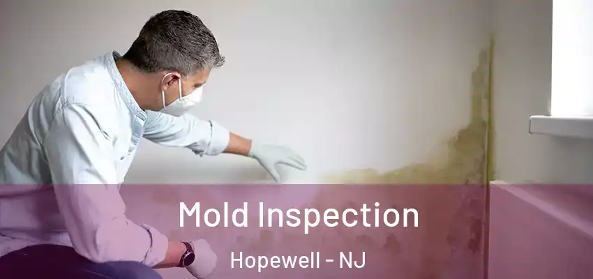  Mold Inspection Hopewell - NJ
