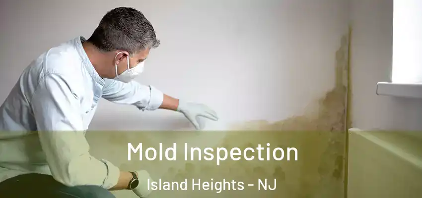  Mold Inspection Island Heights - NJ