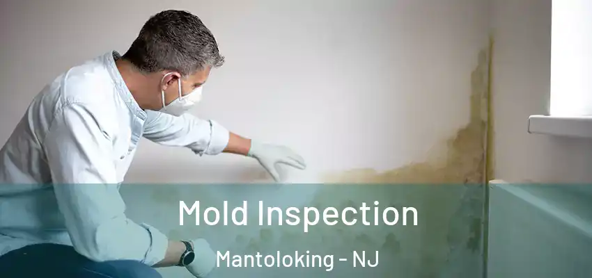  Mold Inspection Mantoloking - NJ