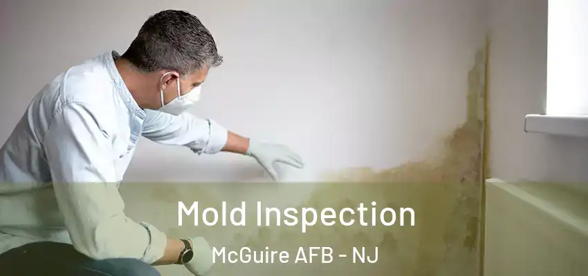  Mold Inspection McGuire AFB - NJ