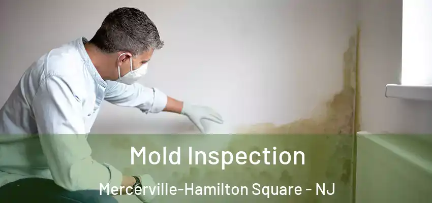 Mold Inspection Mercerville-Hamilton Square - NJ