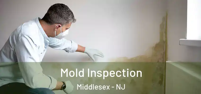  Mold Inspection Middlesex - NJ
