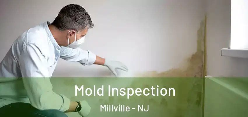  Mold Inspection Millville - NJ