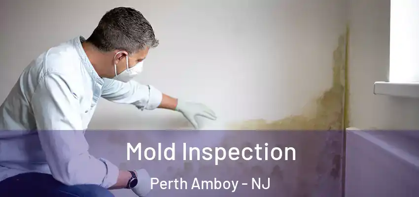  Mold Inspection Perth Amboy - NJ