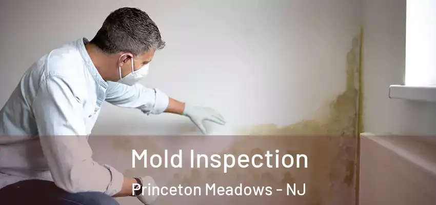 Mold Inspection Princeton Meadows - NJ