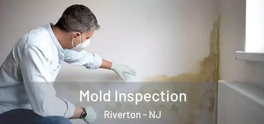  Mold Inspection Riverton - NJ