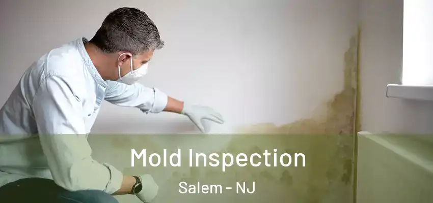 Mold Inspection Salem - NJ