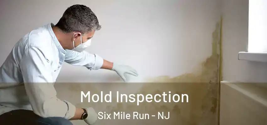 Mold Inspection Six Mile Run - NJ