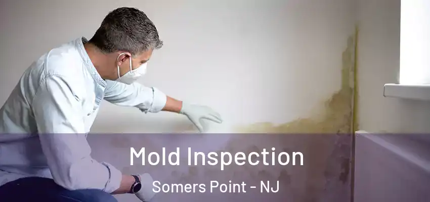 Mold Inspection Somers Point - NJ