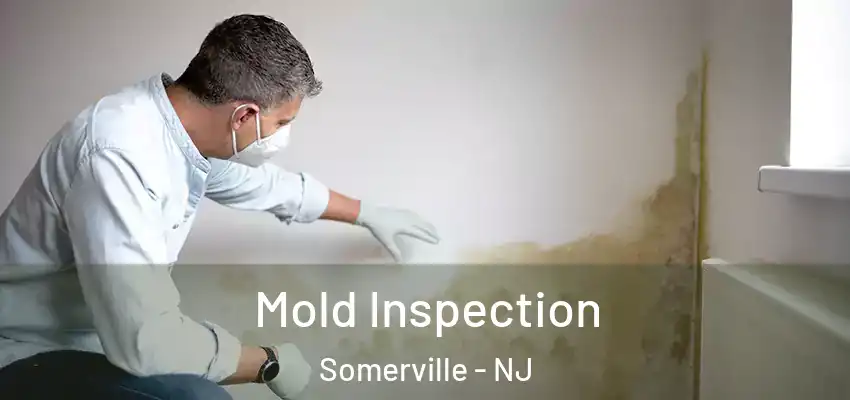 Mold Inspection Somerville - NJ