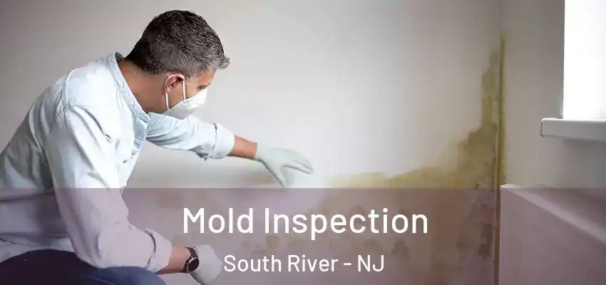  Mold Inspection South River - NJ