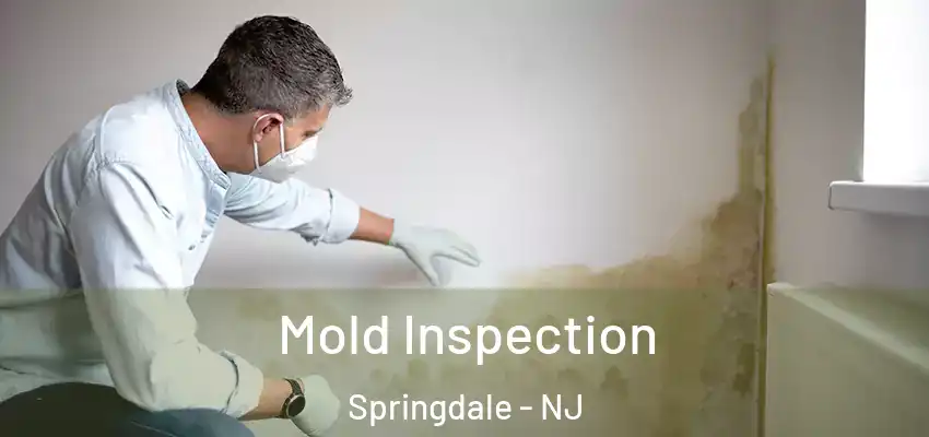 Mold Inspection Springdale - NJ