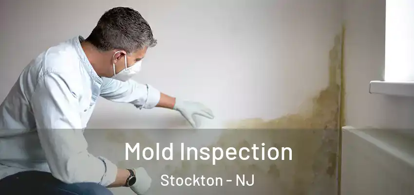  Mold Inspection Stockton - NJ