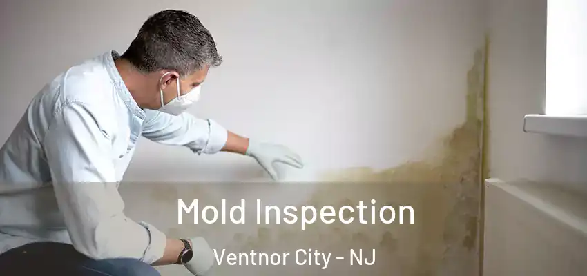  Mold Inspection Ventnor City - NJ