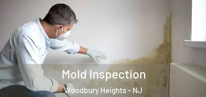 Mold Inspection Woodbury Heights - NJ