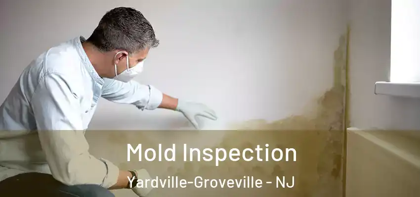 Mold Inspection Yardville-Groveville - NJ