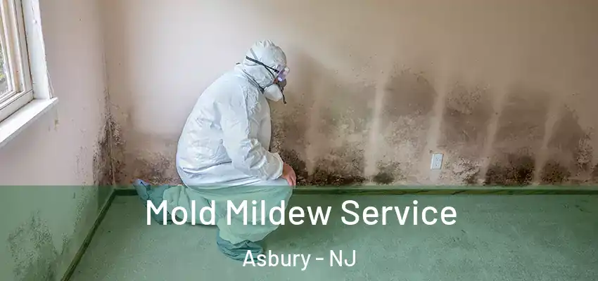  Mold Mildew Service Asbury - NJ