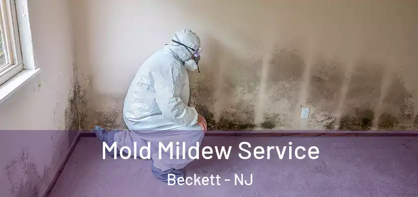  Mold Mildew Service Beckett - NJ