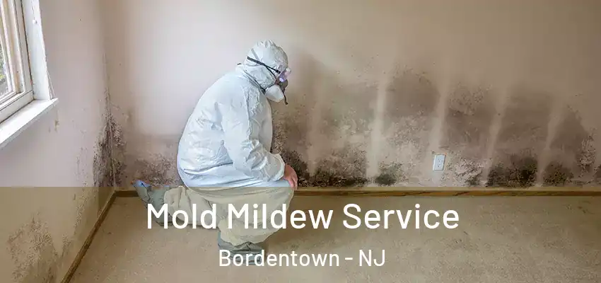 Mold Mildew Service Bordentown - NJ