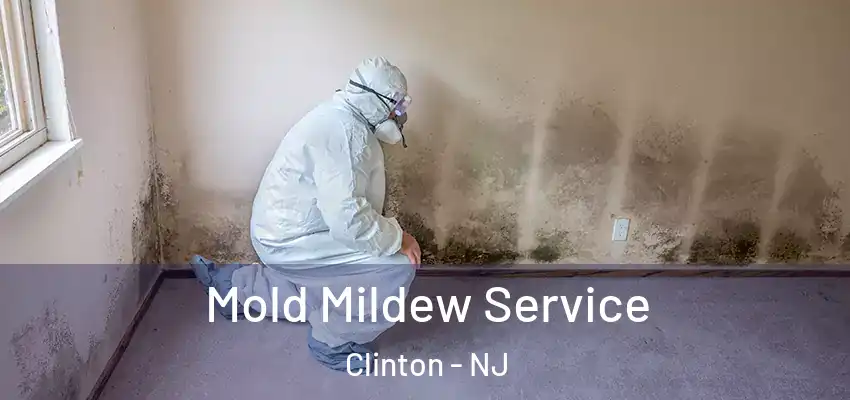 Mold Mildew Service Clinton - NJ