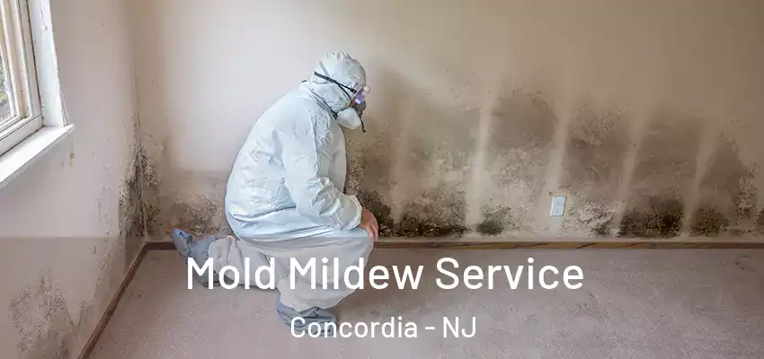  Mold Mildew Service Concordia - NJ