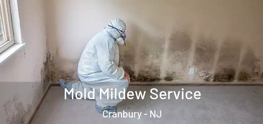  Mold Mildew Service Cranbury - NJ