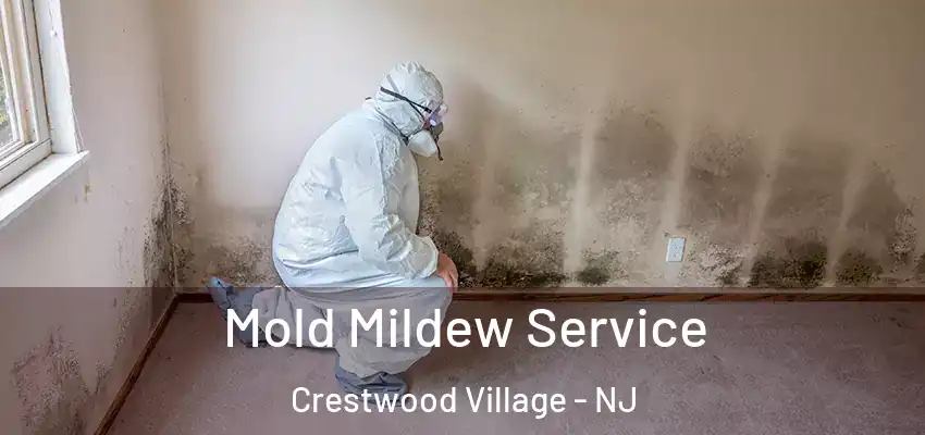 Mold Mildew Service Crestwood Village - NJ