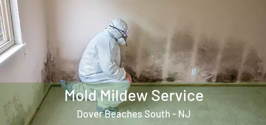  Mold Mildew Service Dover Beaches South - NJ