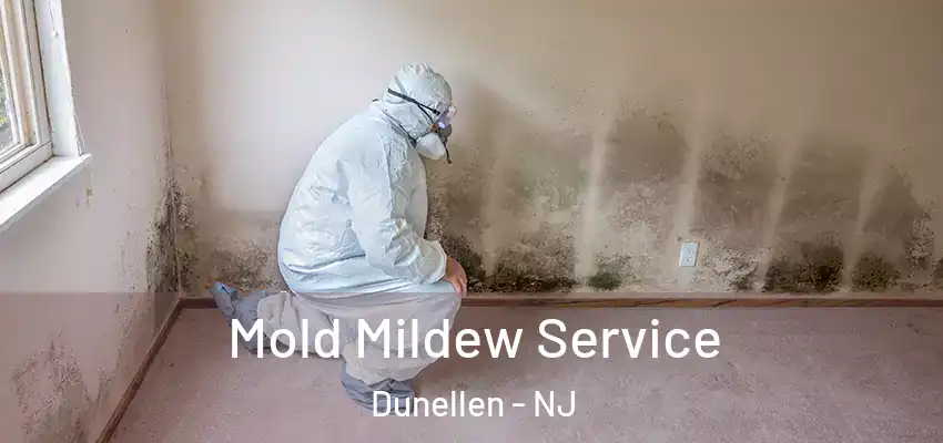  Mold Mildew Service Dunellen - NJ