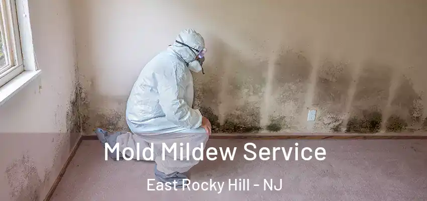Mold Mildew Service East Rocky Hill - NJ
