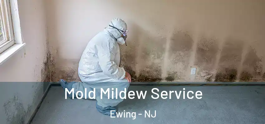  Mold Mildew Service Ewing - NJ