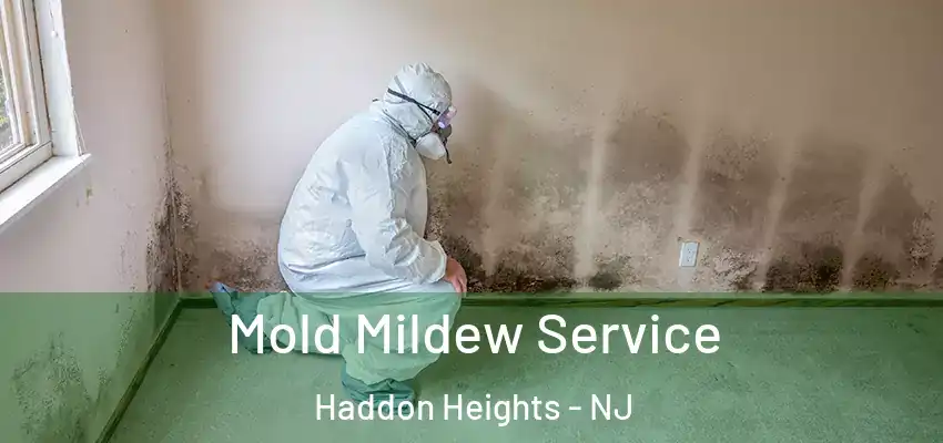  Mold Mildew Service Haddon Heights - NJ