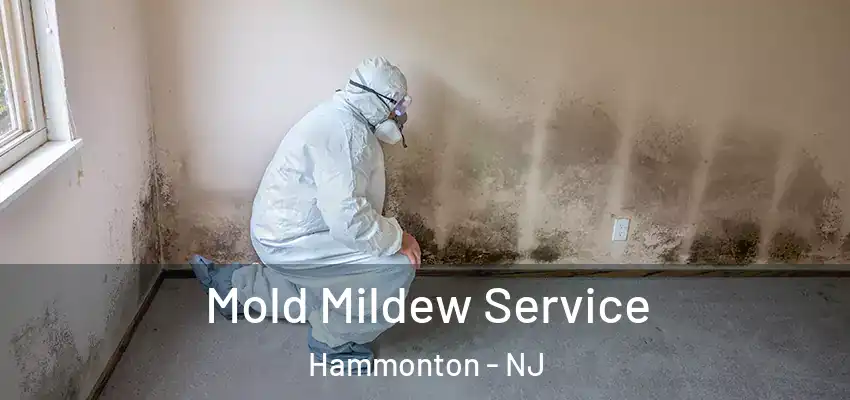  Mold Mildew Service Hammonton - NJ